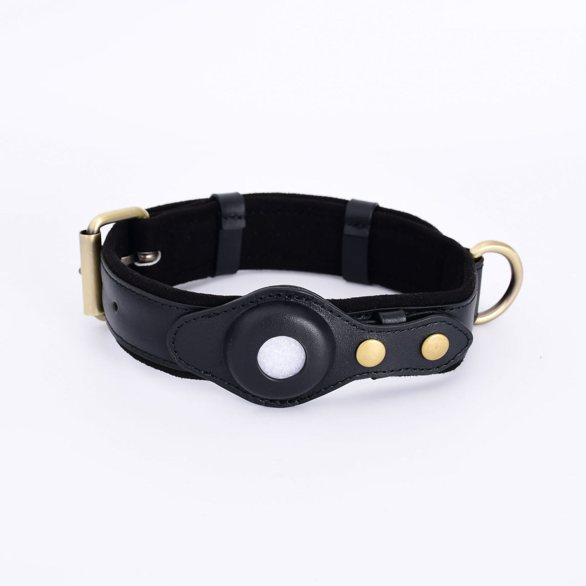 SafePaw GPS Collar – Track & Protect Your Dog
