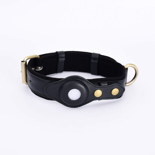 SafePaw GPS Collar – Track & Protect Your Dog