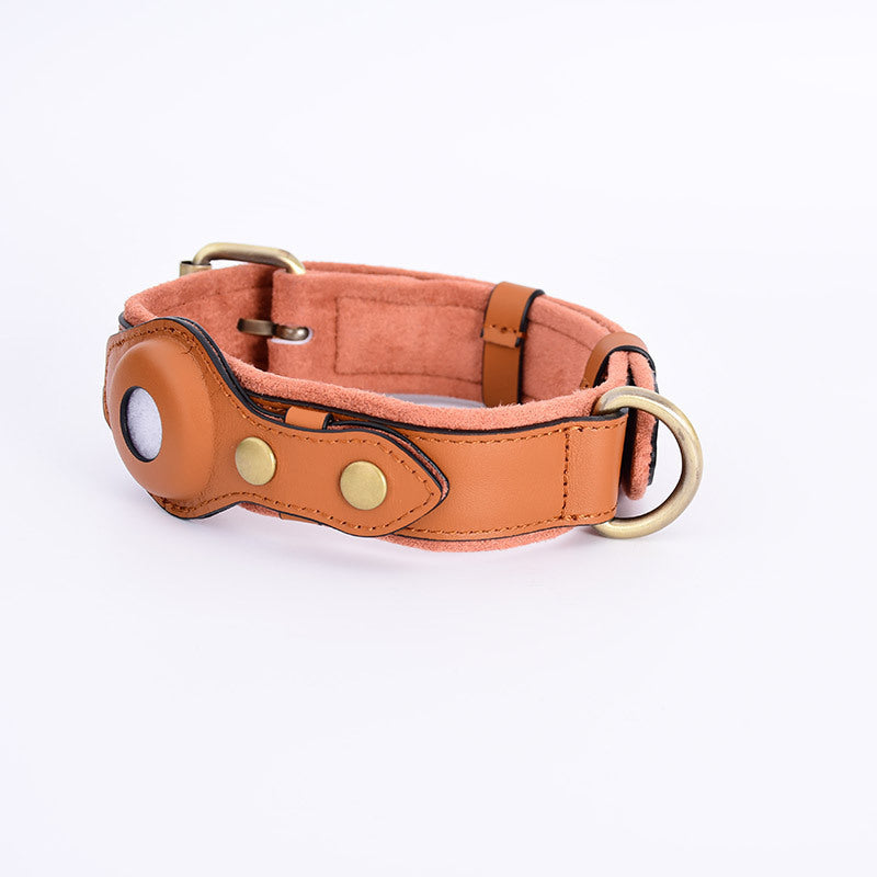 SafePaw GPS Collar – Track & Protect Your Dog
