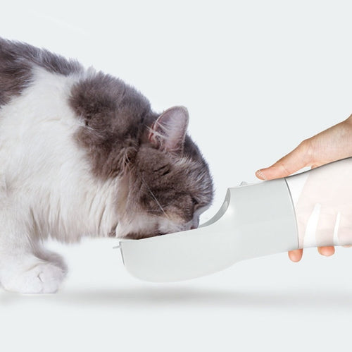 On-the-Go Dog Water Dispenser – Fresh Sips Anytime