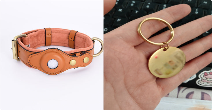 SafePaw GPS Collar – Track & Protect Your Dog