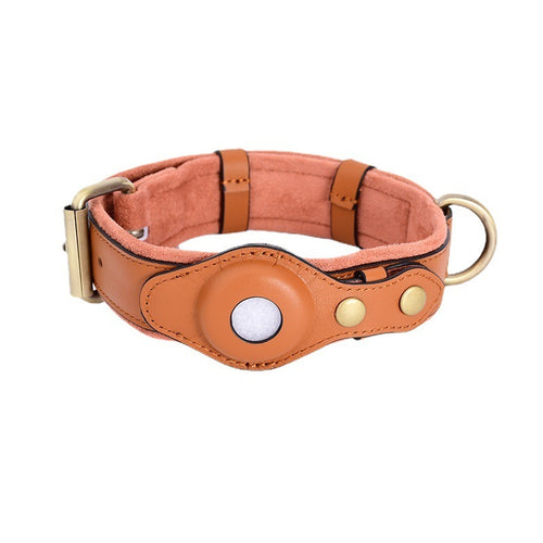 SafePaw GPS Collar – Track & Protect Your Dog