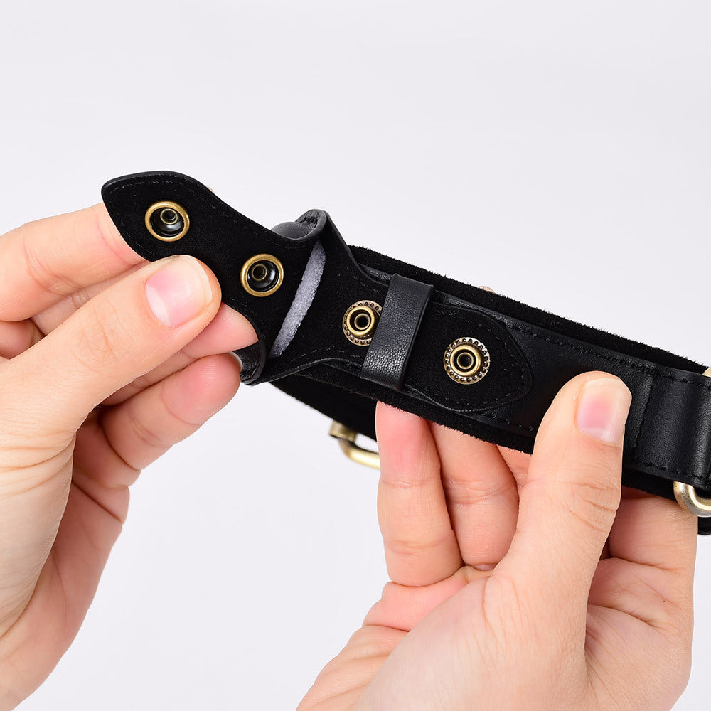 SafePaw GPS Collar – Track & Protect Your Dog